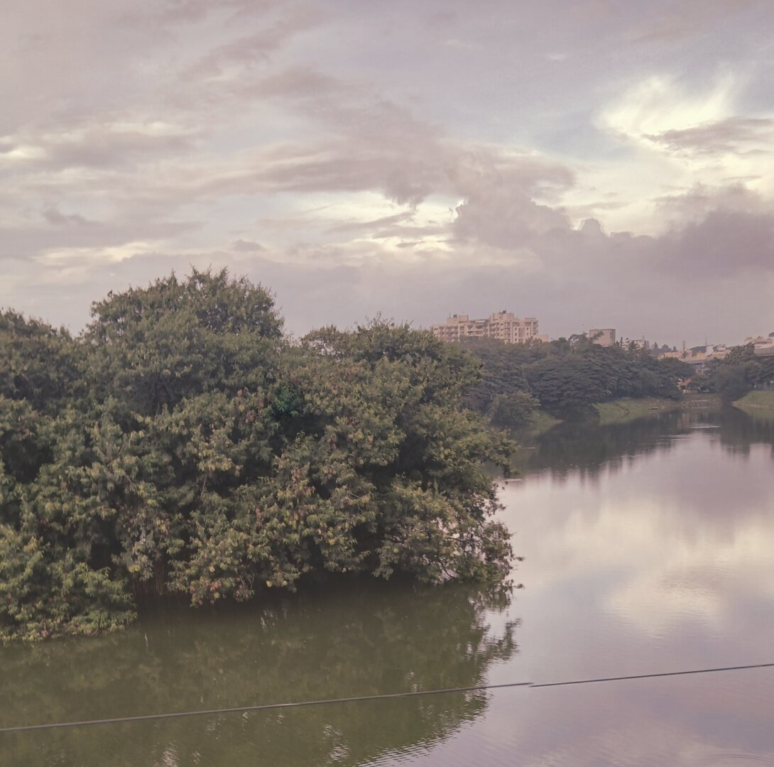 An image of a lake, which has an island in the middle. None of the land is visible as there's trees that cover the entirety of it. In the distance there's some more greenery, as well as a few high rise apartment buildings. the image is overlaid with a filter that is a combination of sepia and pastel pink, which gives it a moody and pensive look.